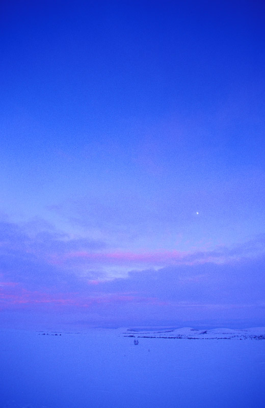 Finnmark Plateau in light blue © Trym Ivar Bergsmo