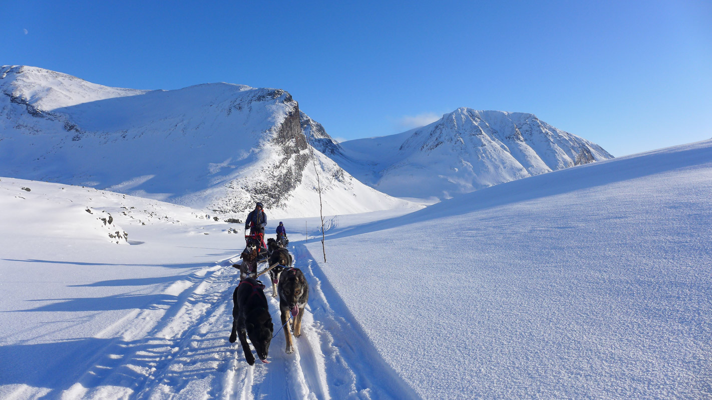 On a husky tour in the Narvik mountains (c) Bergbjørn Fjellservice