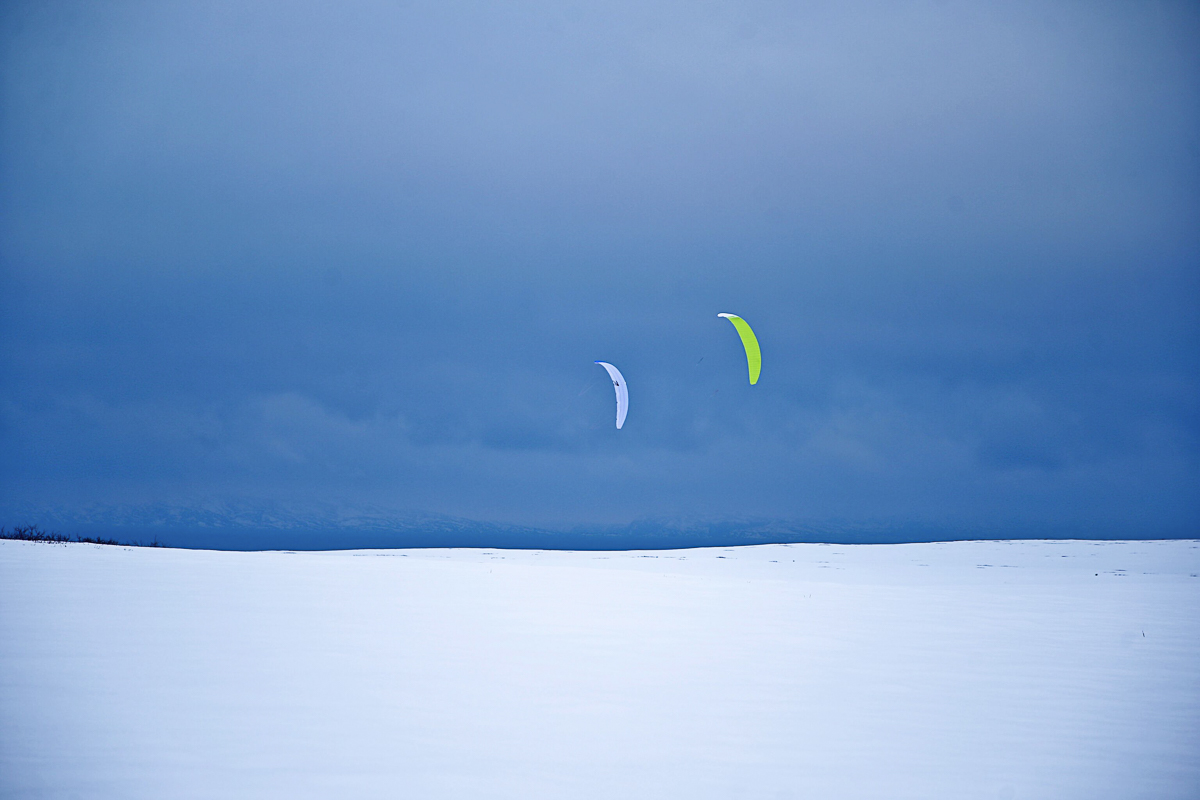 To enslige drager mot en blå vinterhimmel © Ingerid Jordal