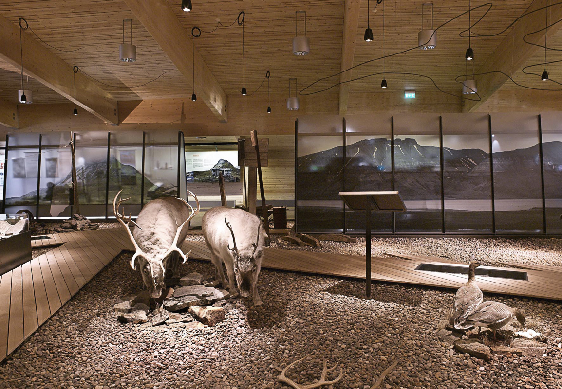 Reindeers are in the exhibition at Svalbard museum © Svalbard museum