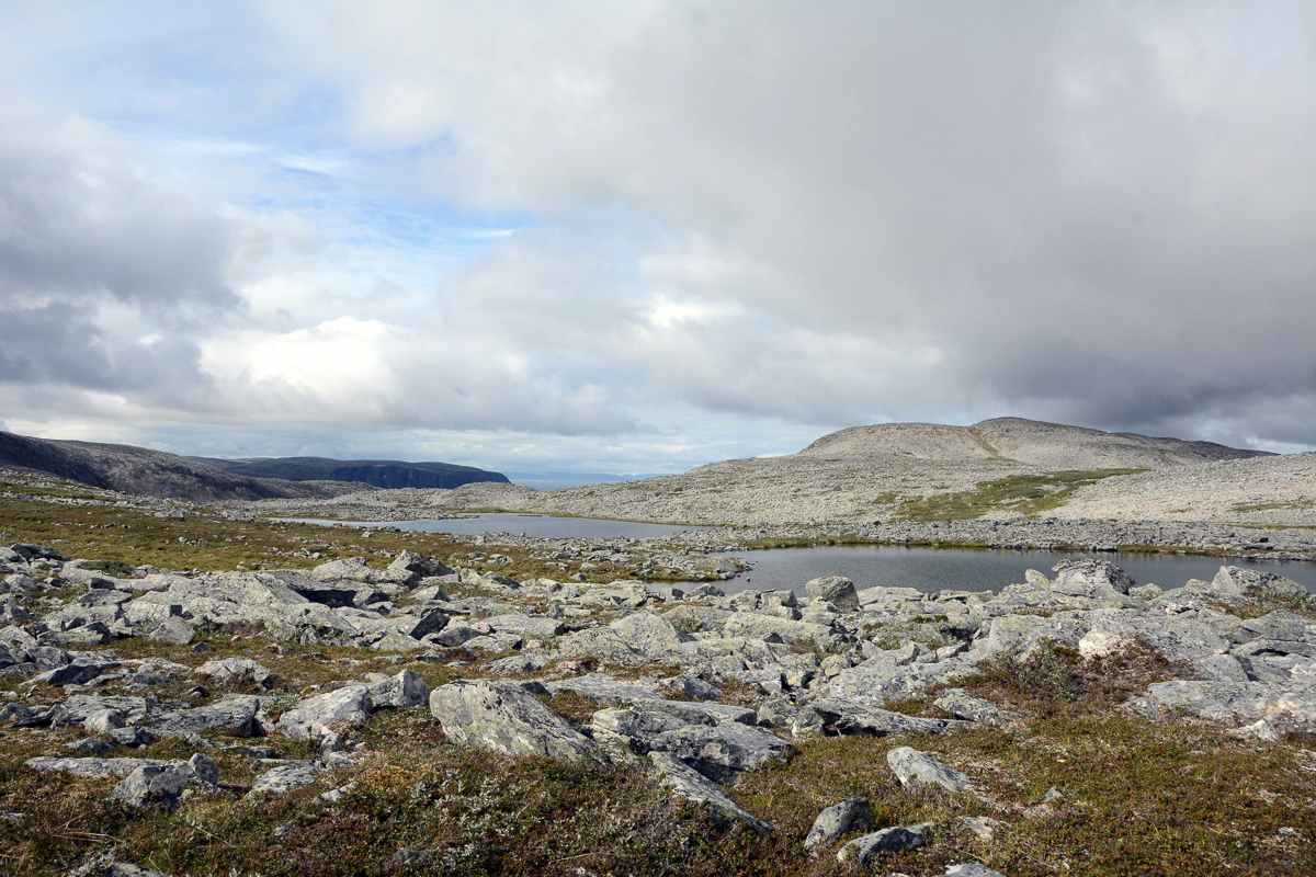 Stein og små vatn på toppen av halvøya (c) Knut Hansvold