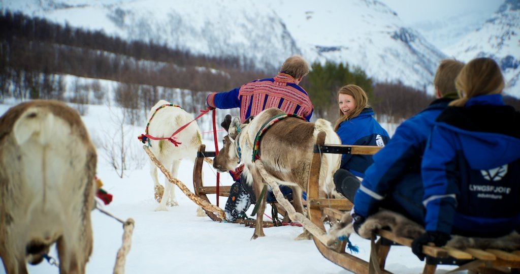 Taking it slow on a traditional reindeer sled ride © Lyngsfjord Adventure