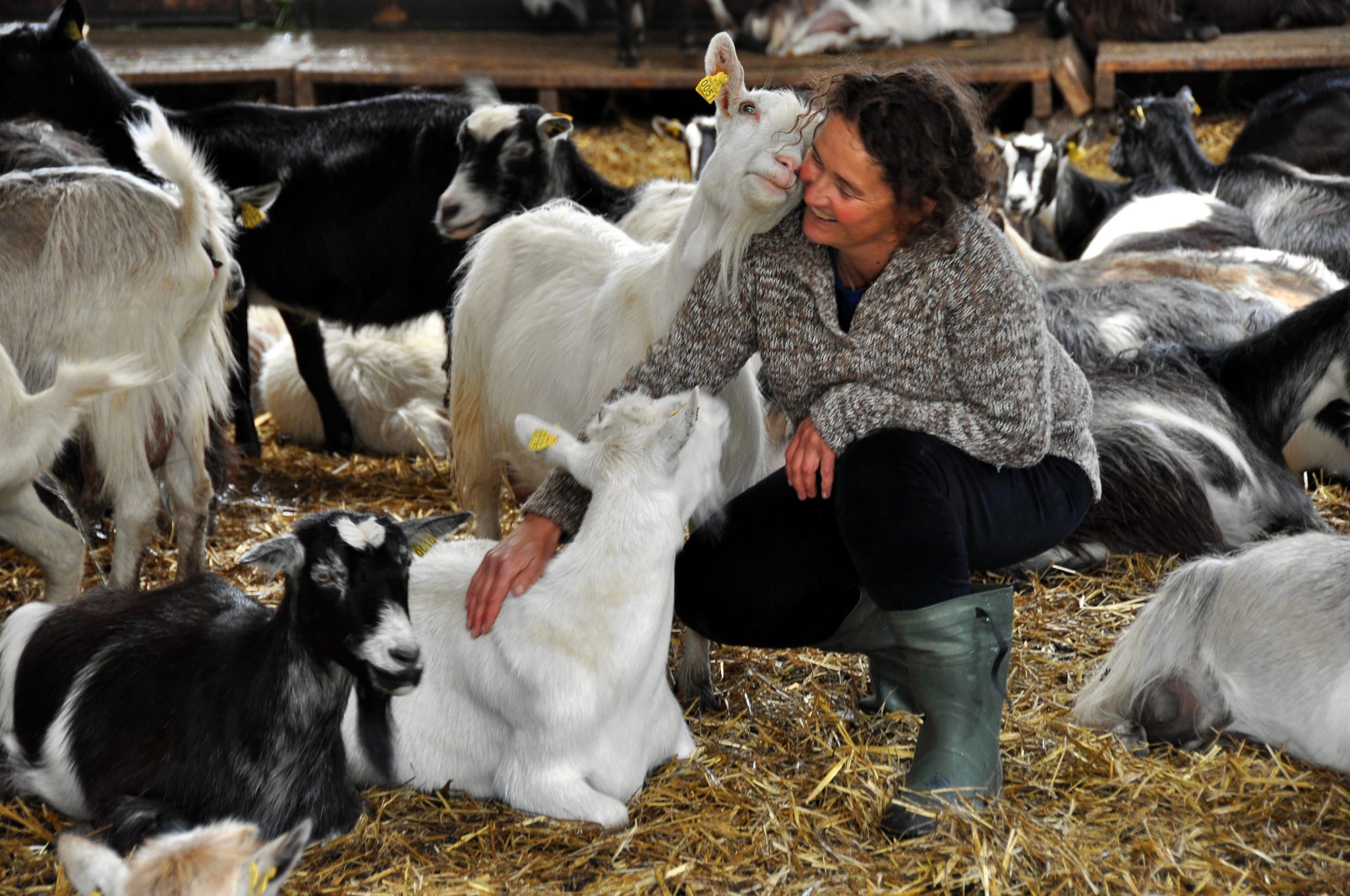 Marielle de Roos with the goats. The goats come willingly to be milked and live mainly in the hillsides around the farm © Lofoten gårdsysteri