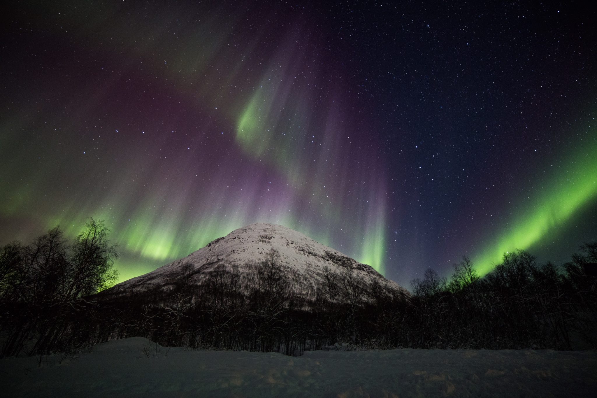 The clear skies in Tamokdalen offer great viewing for the aurora borealis © William Copeland