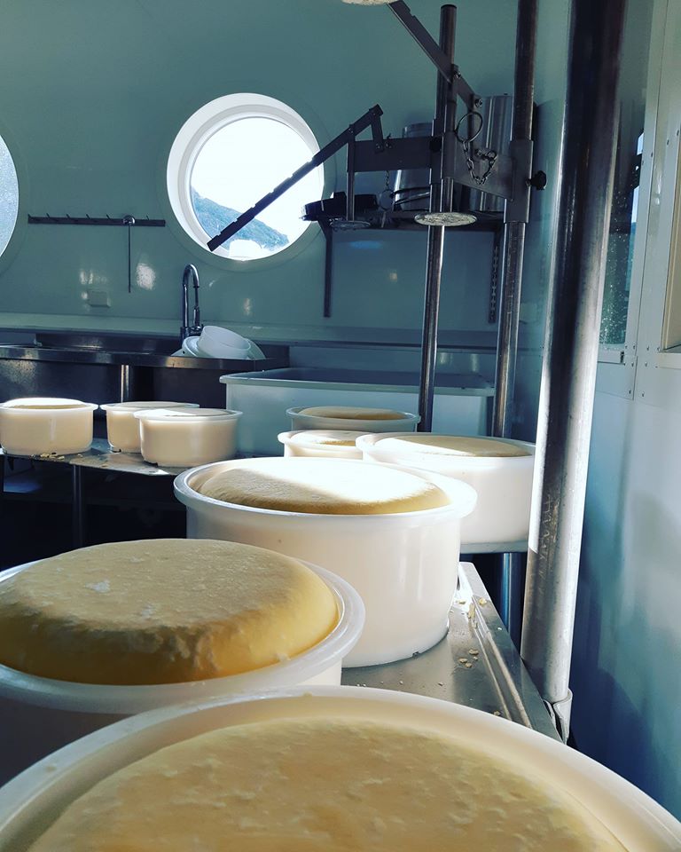 Cheese production on site © Lofoten gårdsysteri