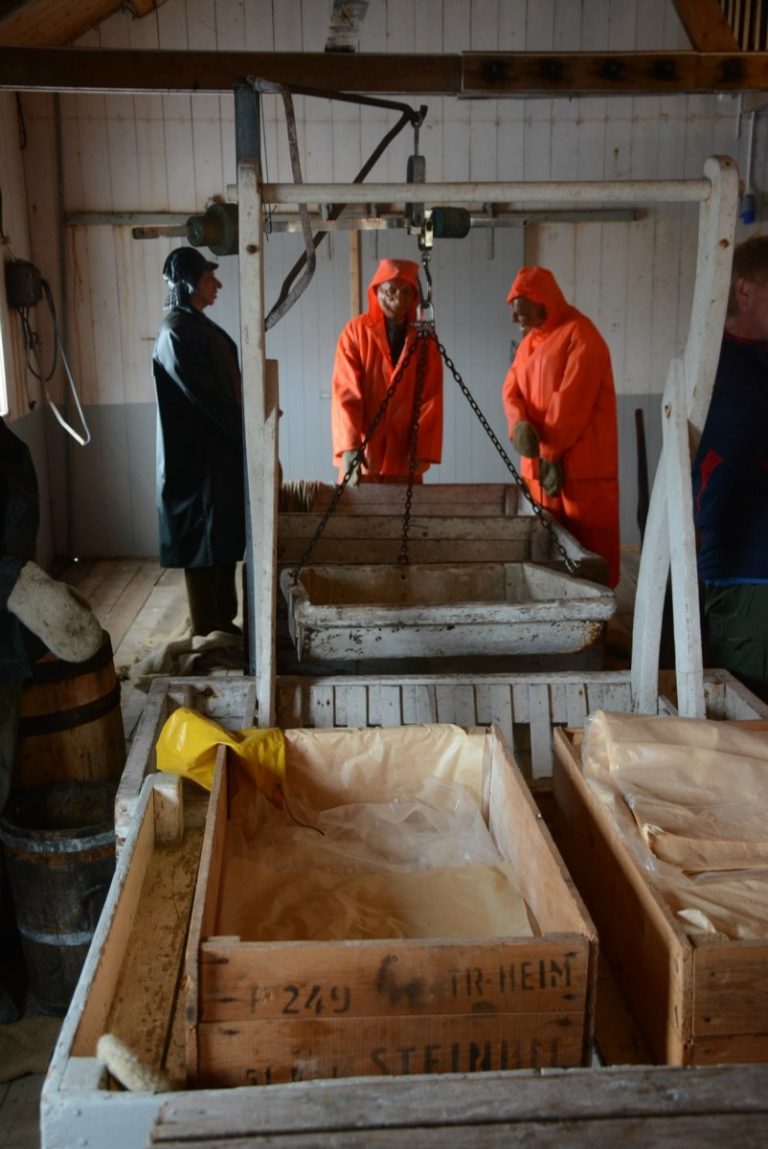 Explanations of how the fish were processed at the plant © Knut Hansvold