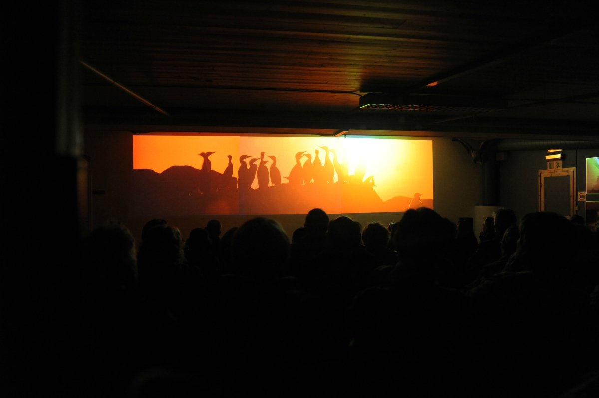 The projection of the slideshow that represents Lofoten through the seasons © Knut Hansvold
