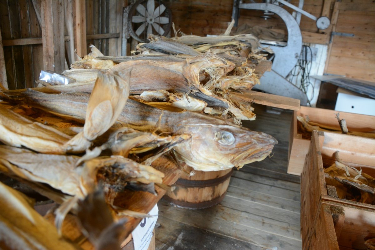 Stockfish. Sabrefish on the Table. Stock Photo - Image of