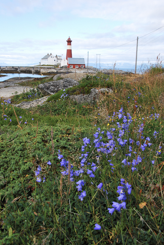 The nature around the lighthouse includes beaches and local plant life © Knut Hansvold