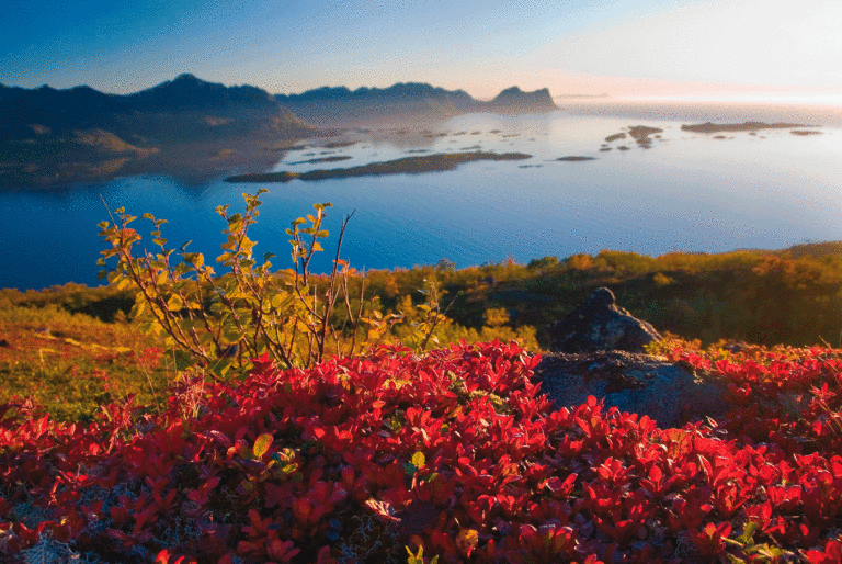 Autumn at the Bergsfjord on Senja Island © Reiner Schaufler