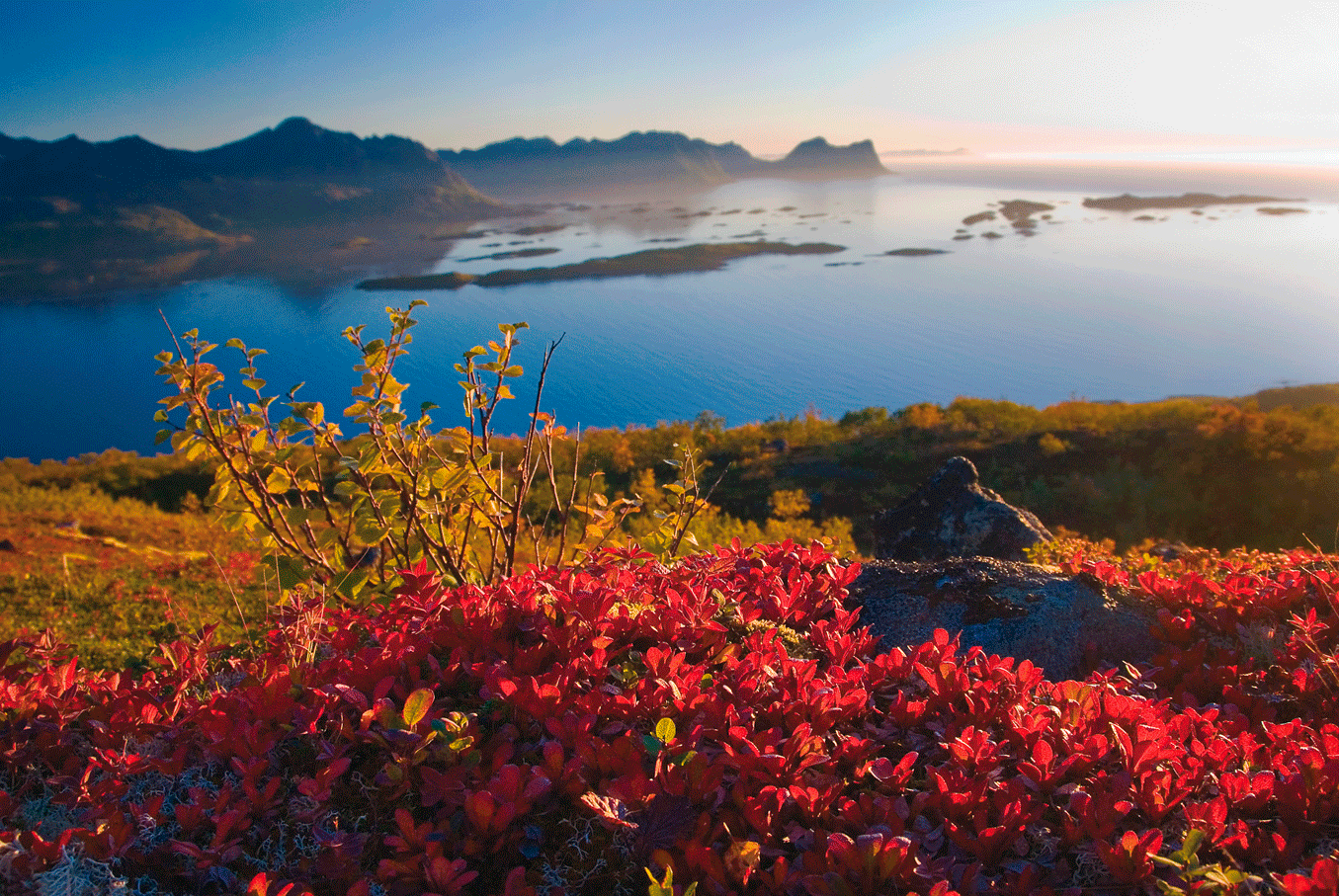 Høst ved Bergsfjorden på Senja © Reiner Schaufler 