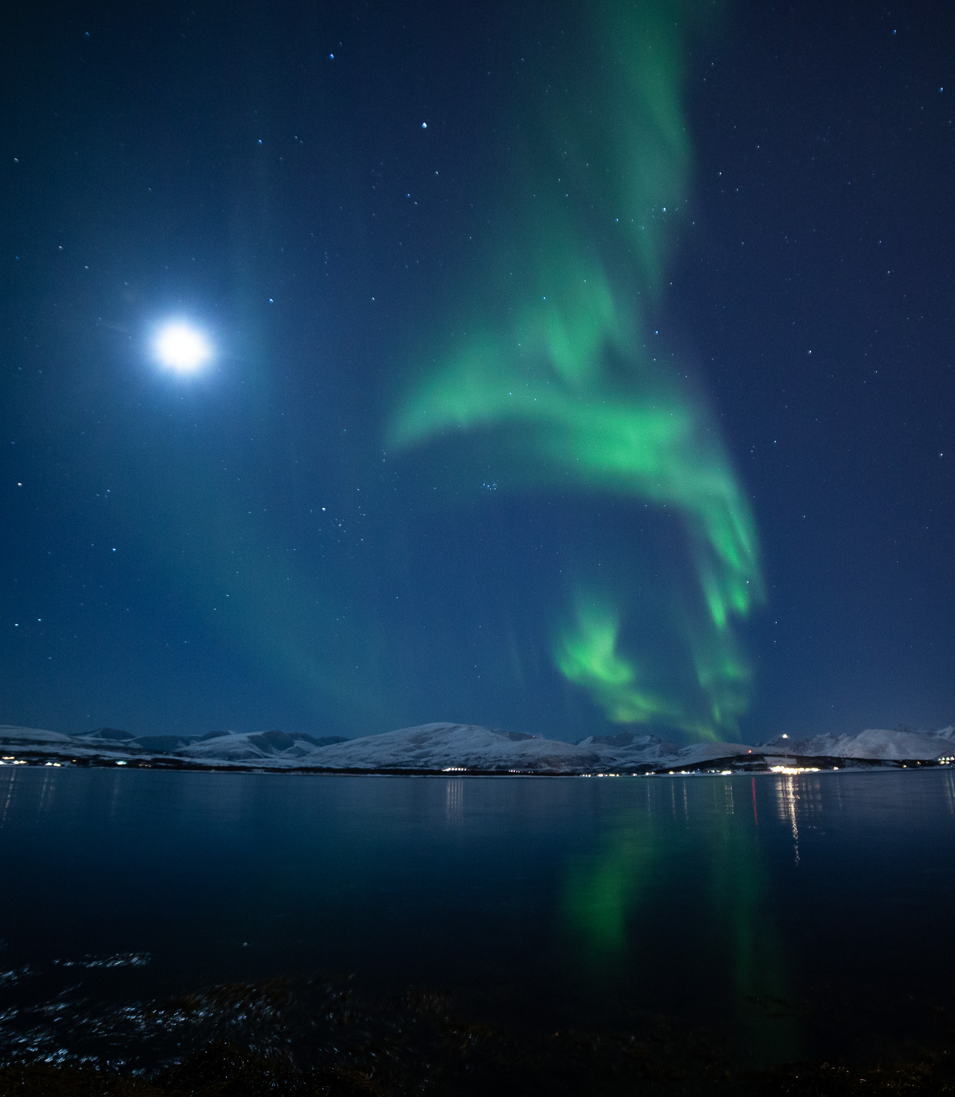 Nordlyset danser over et månelyst landskap © William Copeland