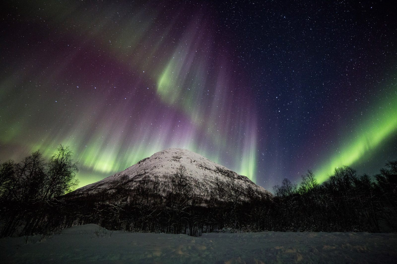 Violet and green solar storm above the peaks of Tamokdalen Valley © William Copeland