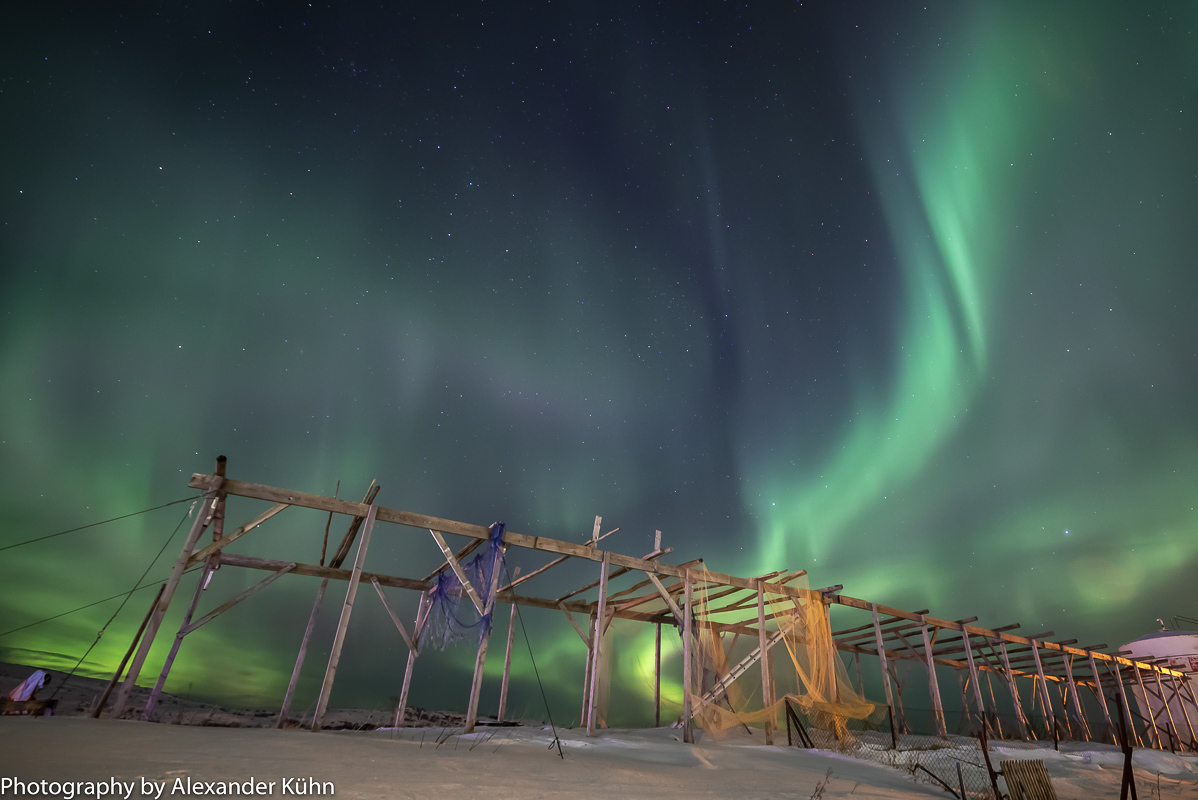 The Northern Lights dance over the drying racks for fish at Støtt island © Alexander Kühn