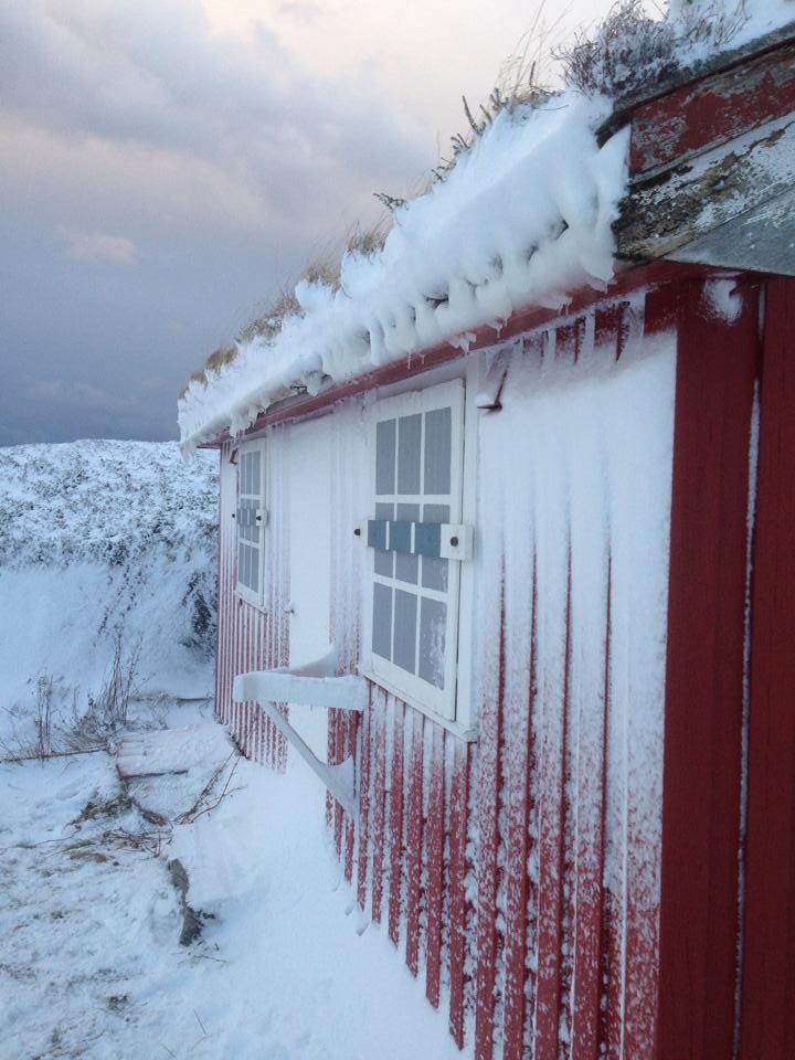 Winter conditions at Bolga Island © Jeff McLean