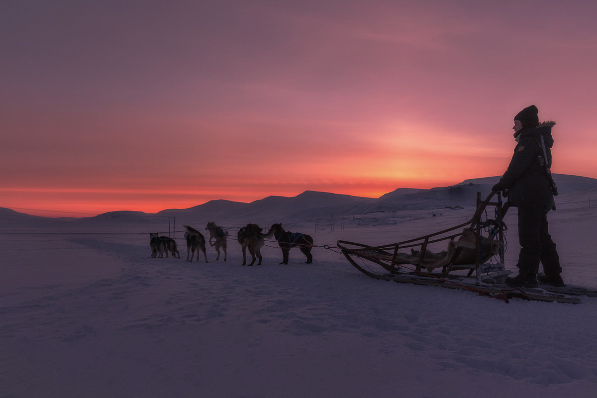 Dogsledding into the wilderness © Terje Nergard Photography