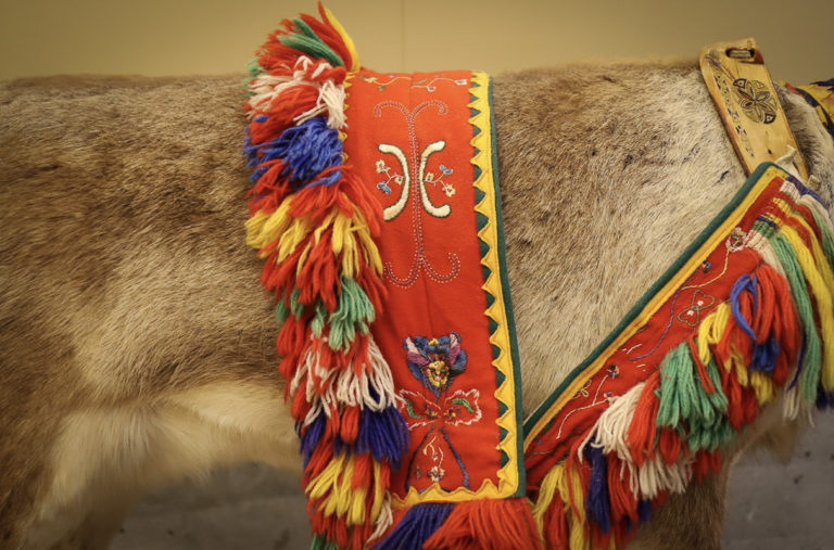Handmade and decorated harness for reindeer sledding © Paula Rauhala/SVD
