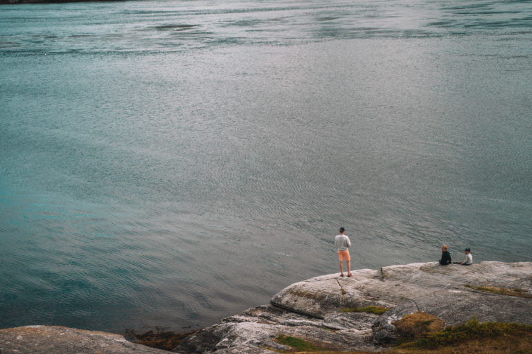 Small fish are drawn in by the Rystraumen current, and saithe and cod follow © Mina Taaje