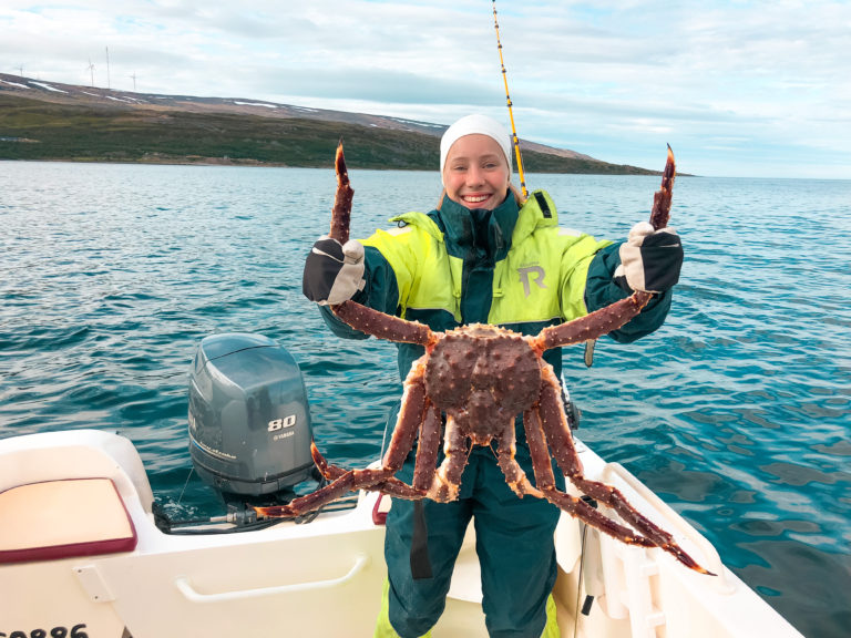 Kongekrabbefangst.  Foto: Båtsfjord Brygge
