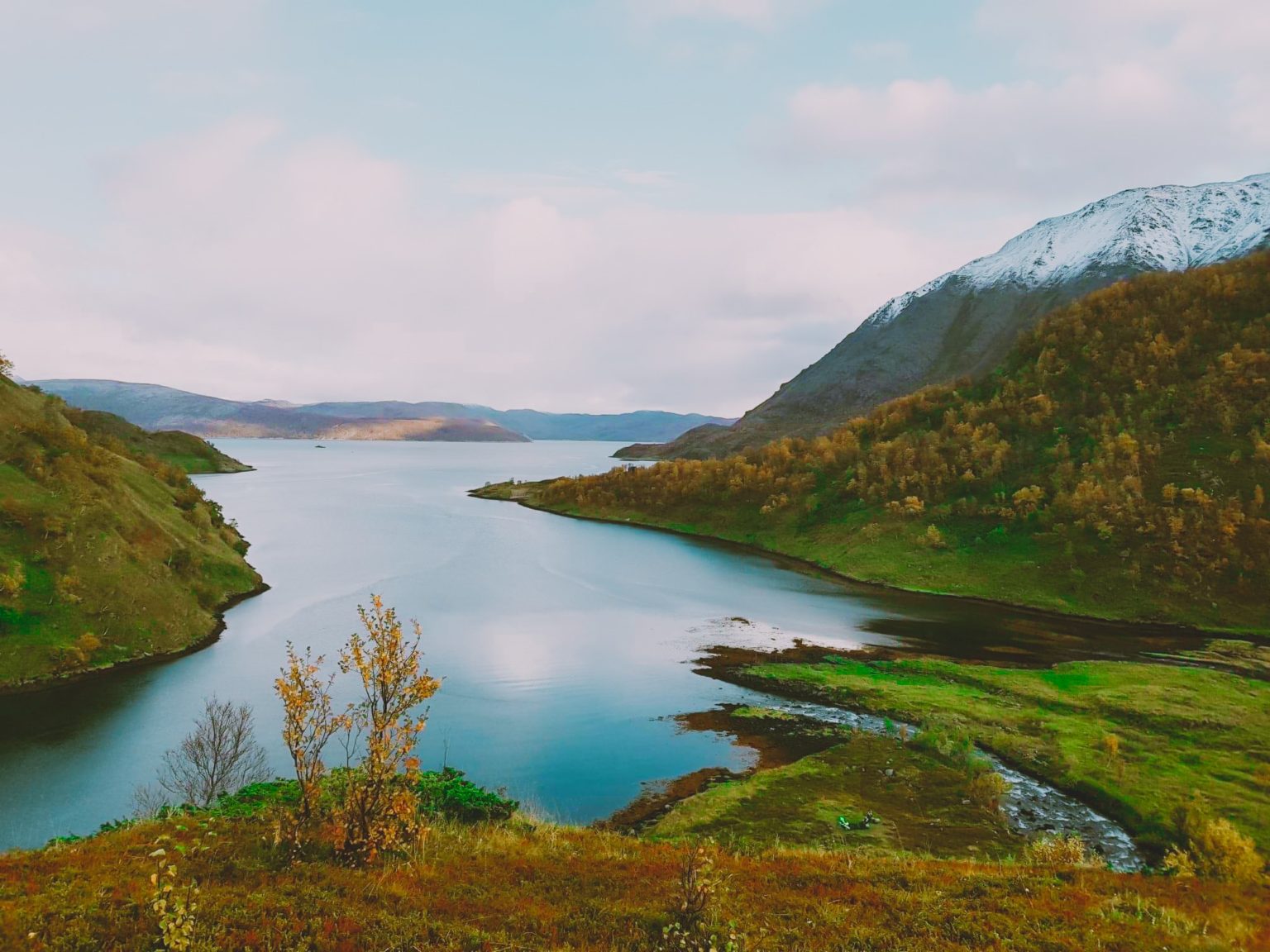 Ditt møte med dyrelivet - Nord-Norge