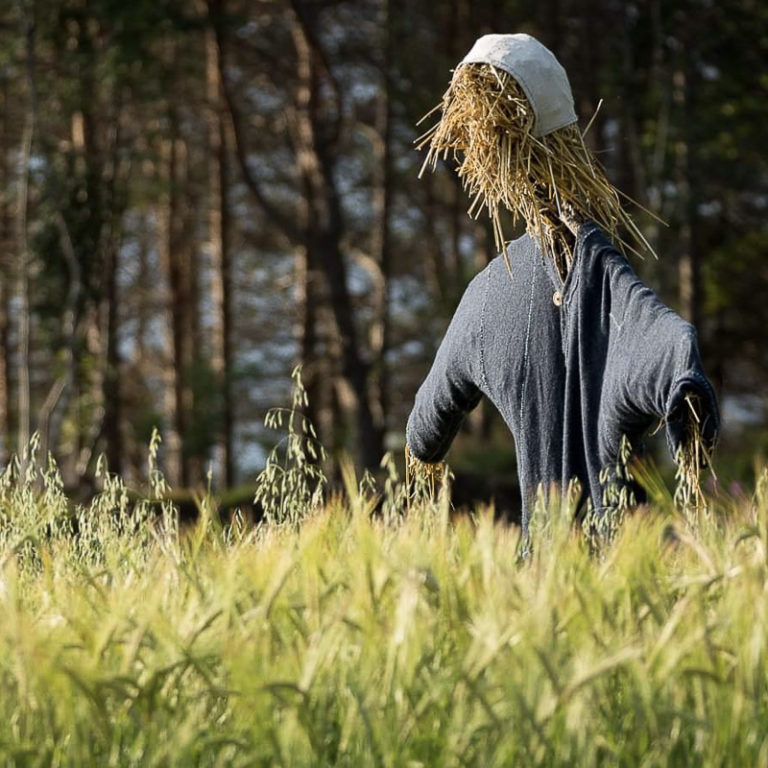 Scarecrow © Sør-Troms museum