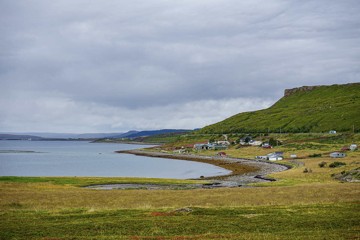 Utsikt fra Mortensnes innover fjorden © Katelin Pell