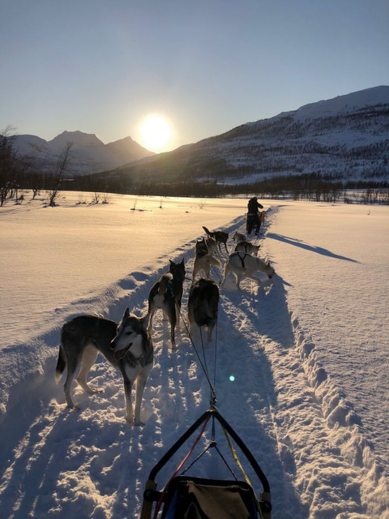 Dogsledding in deep snow at Senja © Arctic Guide & Visit