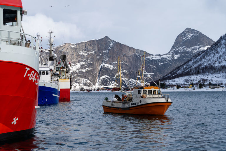 The port of Senjahopen has big and small boats © Frid Jorunn Stabell
