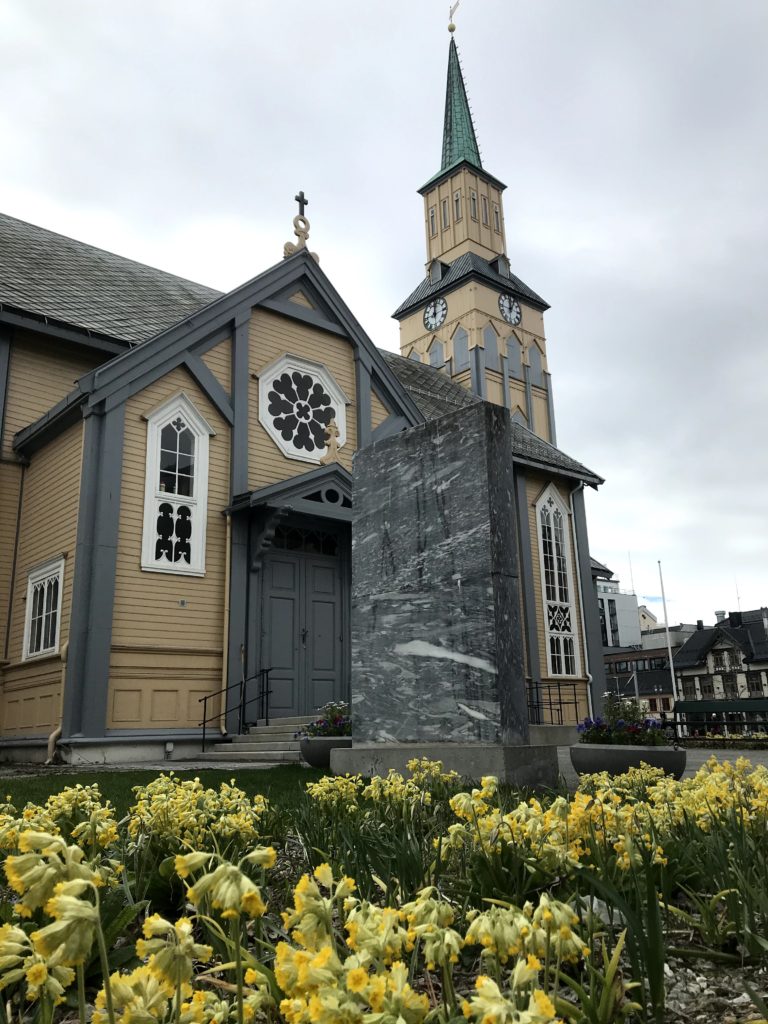 Maria nøkleblom blomstrer i kirkeparken i Tromsø i slutten av mai © Knut Hansvold