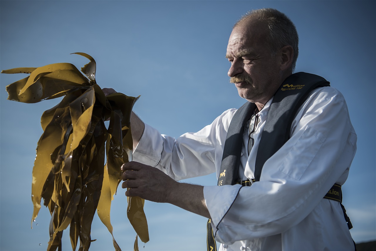 Peter collecting seaweed to be used in anything from starters to desserts © Neumanns Røykeri og Supperclub