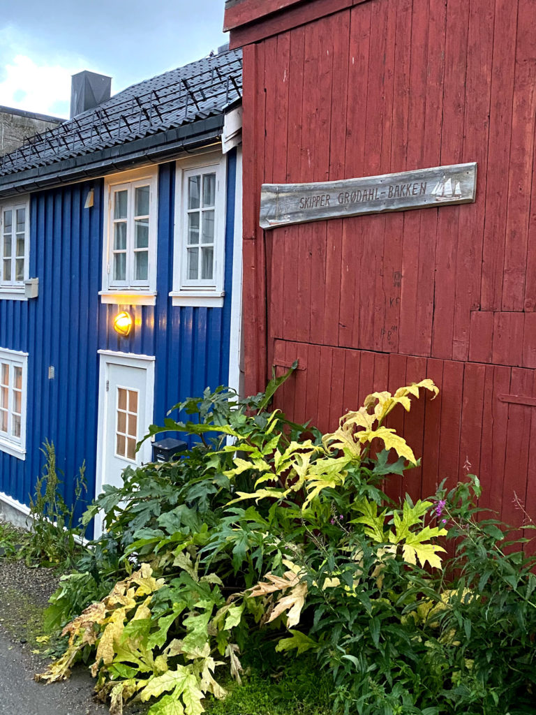 The Skipper Grødahl lane is a bit hidden in the northern part of the city. Picturesque old houses line one side, and modernity dominates the other © Knut Hansvold
