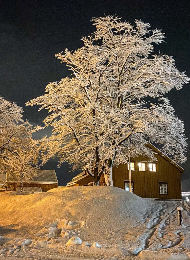 The Skansen compound in winter. The house dates from about 1790, and is the oldest in town © Knut Hansvold