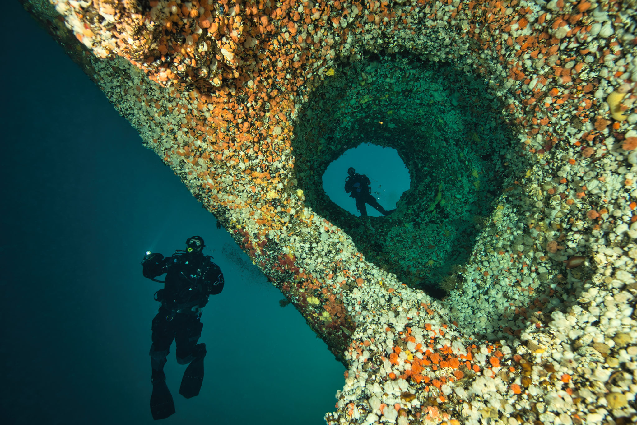 Saltstraumen har en havbunn dekt av kalkalger og utrolige formasjoner for dykkere å oppdage. © Vebjørn Karlsen