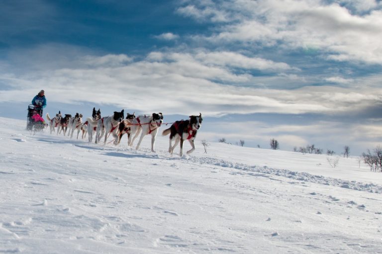 Across the Finnmark Mountain Plateau dogsledding © Geir Stian Larsen