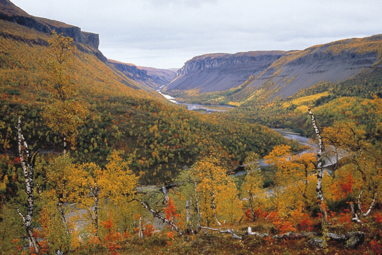 Many people prefer the autumn in Finnmark © Katelin Pell