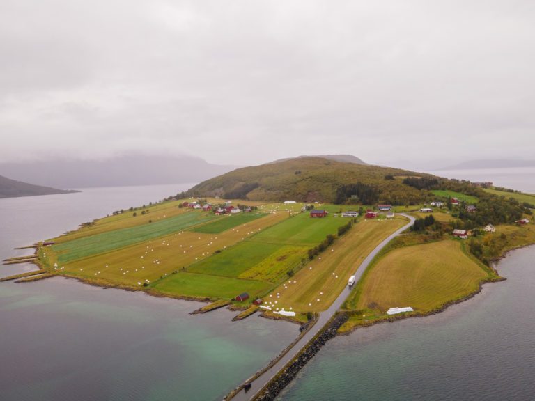 Harstad Is The Friendly City On The Fjord Visit Northern Norway Harstad Is The Friendly City On The Fjord Visit Northern Norway