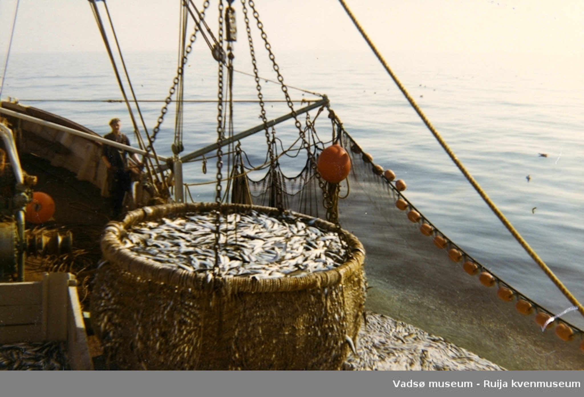 Herring fishing on the Varanger Fjord on bord the MS Egil in the 1960ies © Vadsø Museum - Ruija kvenmuseum