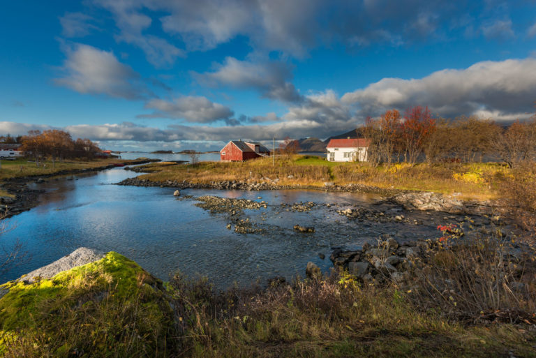 Autumn at Finnsæter © Roger Ellingsen/Statens vegvesen