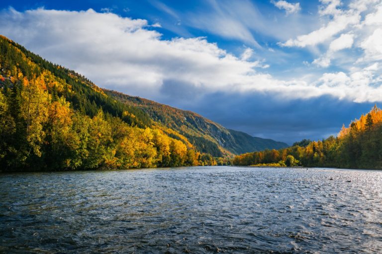 Autumn colours along the Reisaelva river © Petr Pavlíček
