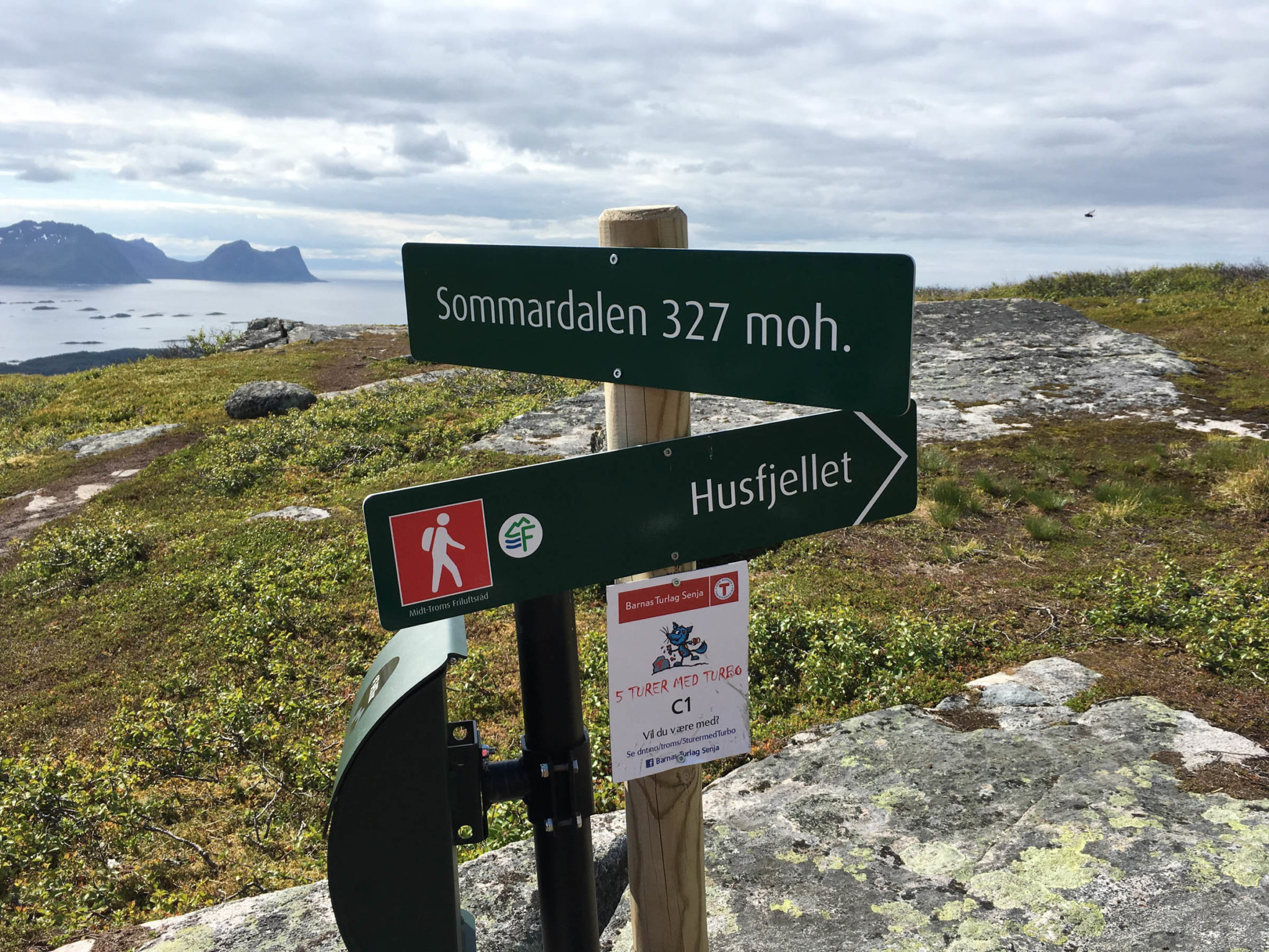 Stien opp mot Husfjellet, Skaland i Senja. Sommardalen er et greit sted å snu for dem som bare vil ha en kort tur 

© Trine Kanter Zerwekh / Statens vegvesen 