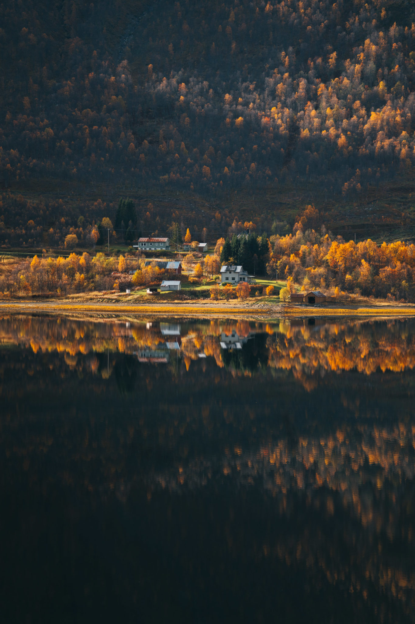 Quiet day of autumn at the fjord © Jensenmedia