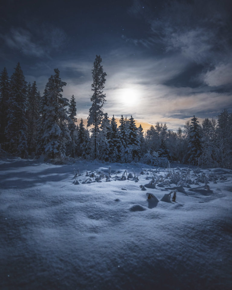 Winter night at Senja Island © Truls Aasnes