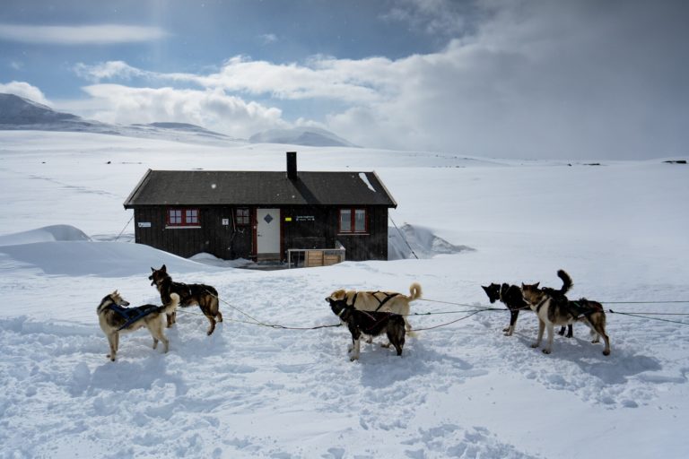 Starting up from the mountain cabin near both Sweden and Finland © Petr Pavlíček / Visit Lyngenfjord