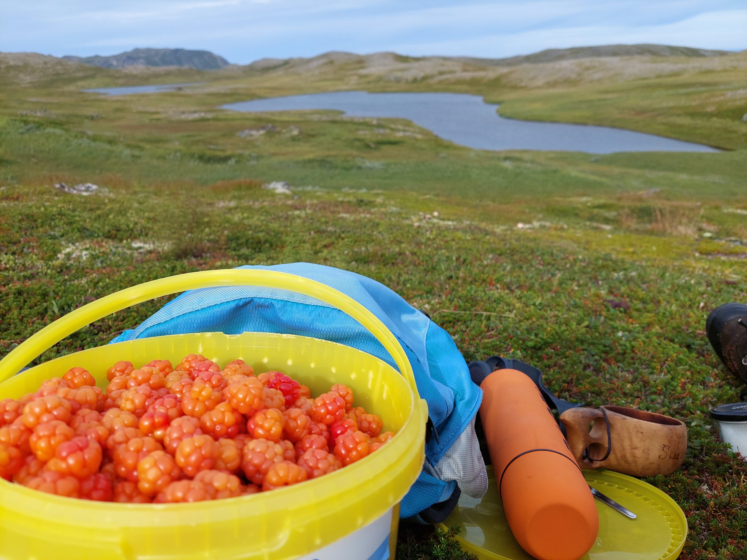 Molta Nord Norge Deutsch Molta Nord Norge Deutsch