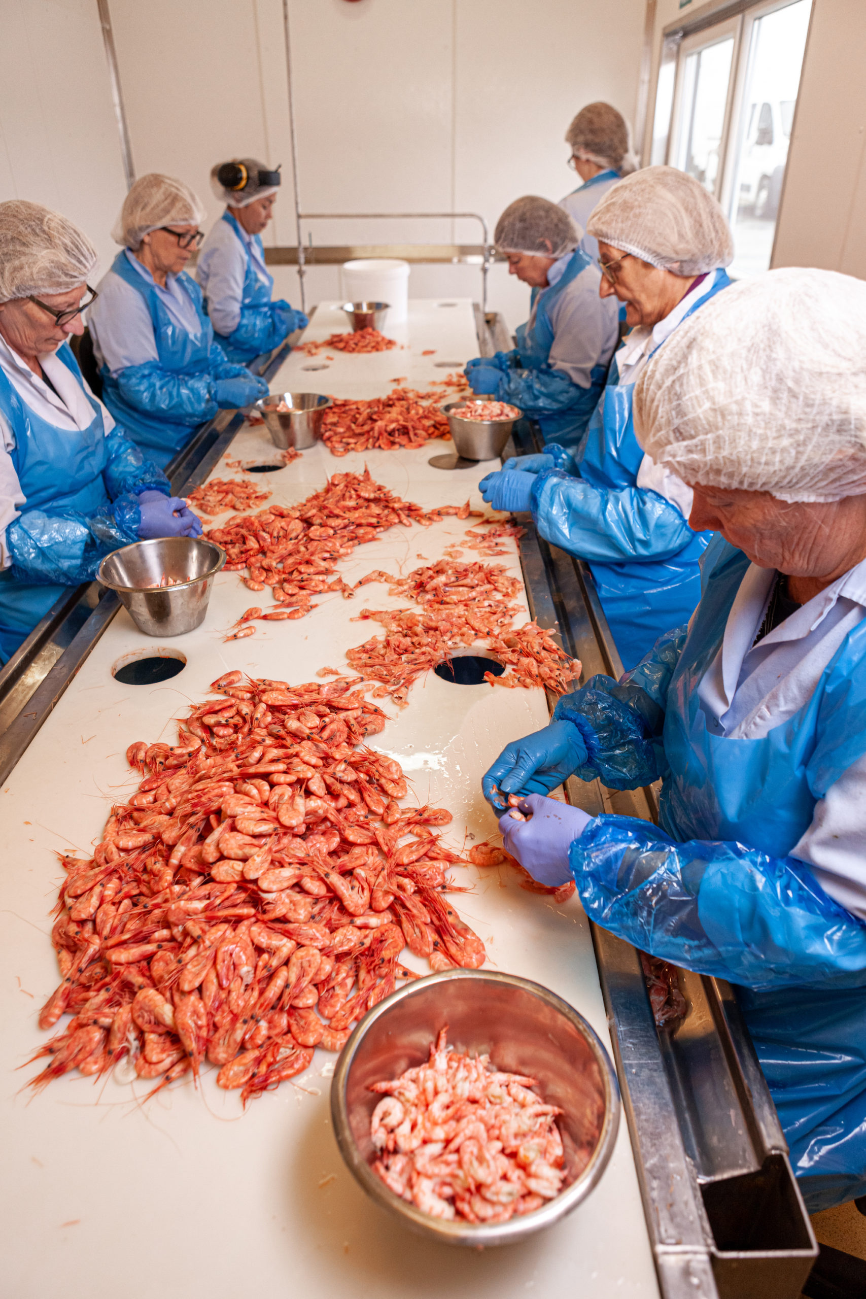 Lyngen Reker AS Nord Norge Deutsch Lyngen Reker AS Nord Norge Deutsch