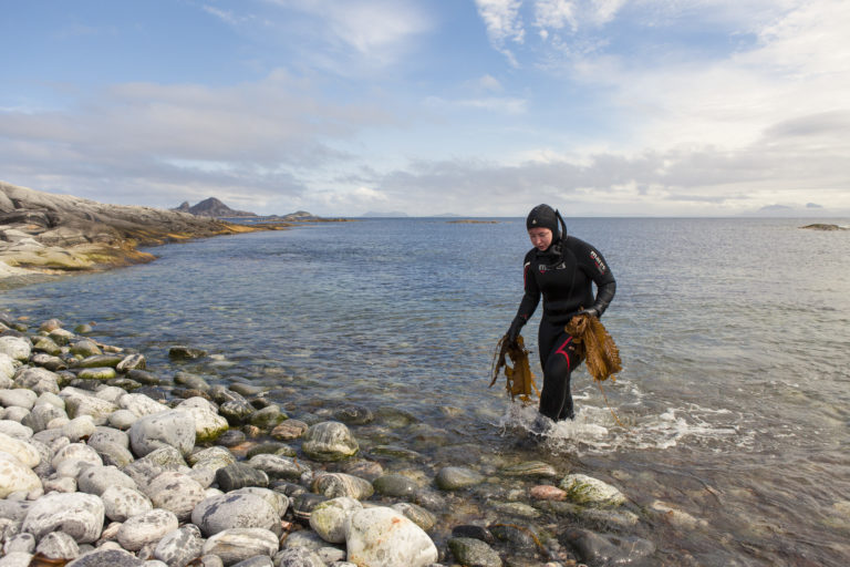 Dykker med Butare på Træna. Foto: Northern Company