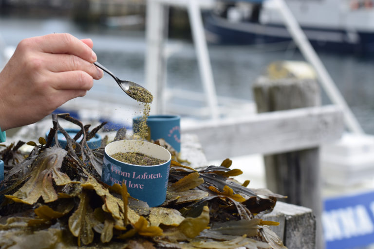Lofoten SeaWeed. Foto: Mari Bareksten