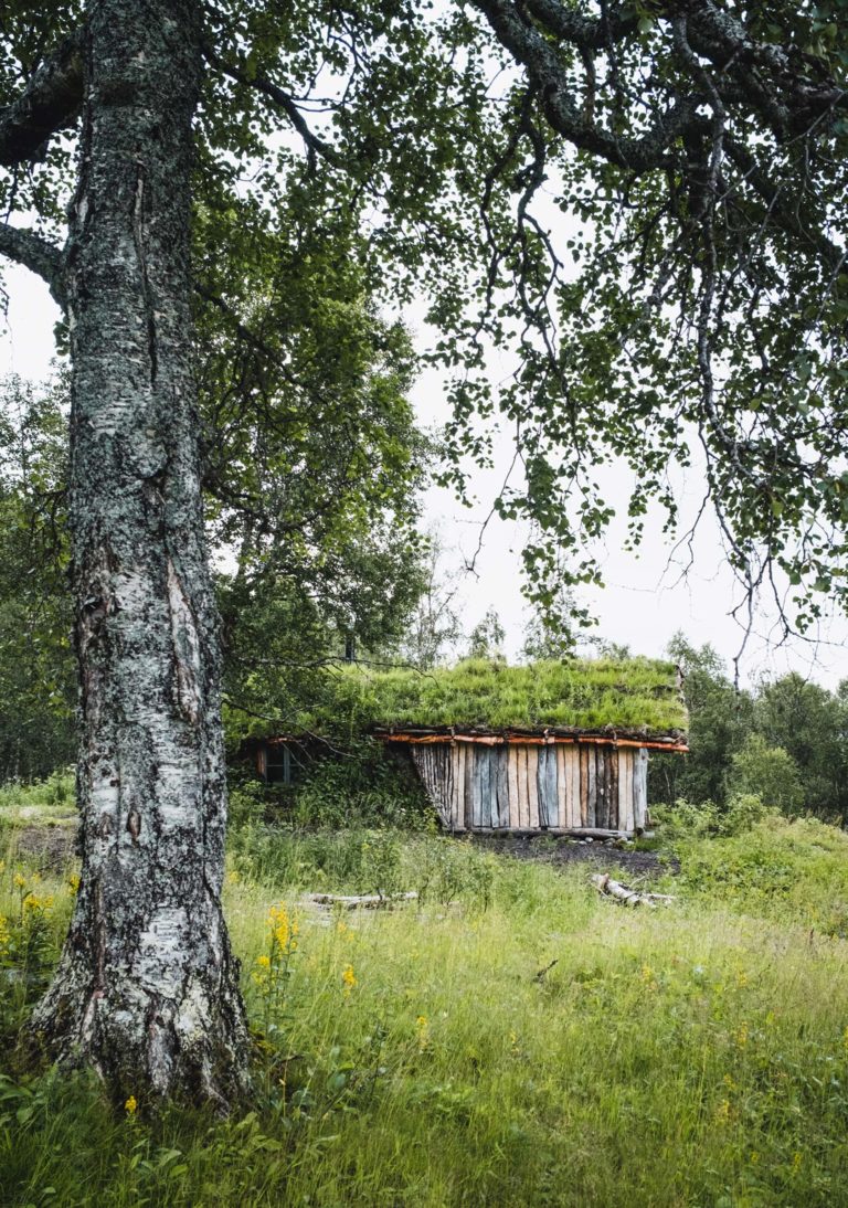 The turf hut - goahti - in Øverkaperdalen blends even more than Nikolaigammen into the nature © Dag Arild Larsen / Midt-Troms museum