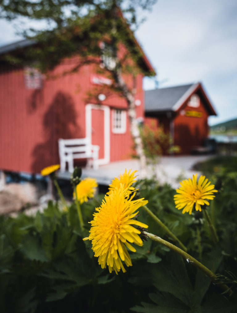 At the boathouse area of Lenvik museum © Dag Arild Larsen/Midt-Troms Museum