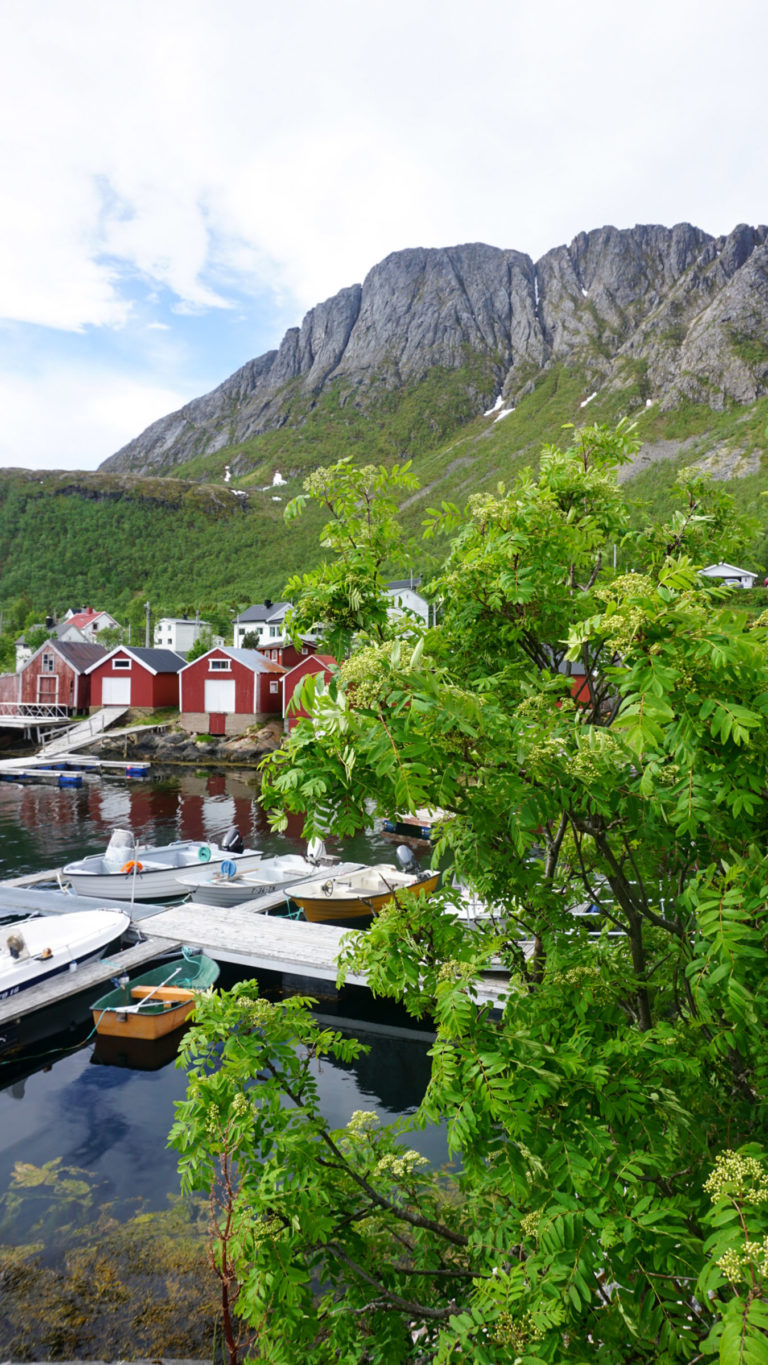 View from the breakwater at Rødsand village, southwestern Senja © Knut Hansvold